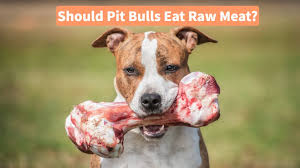 Raw Food for Pit Bulls