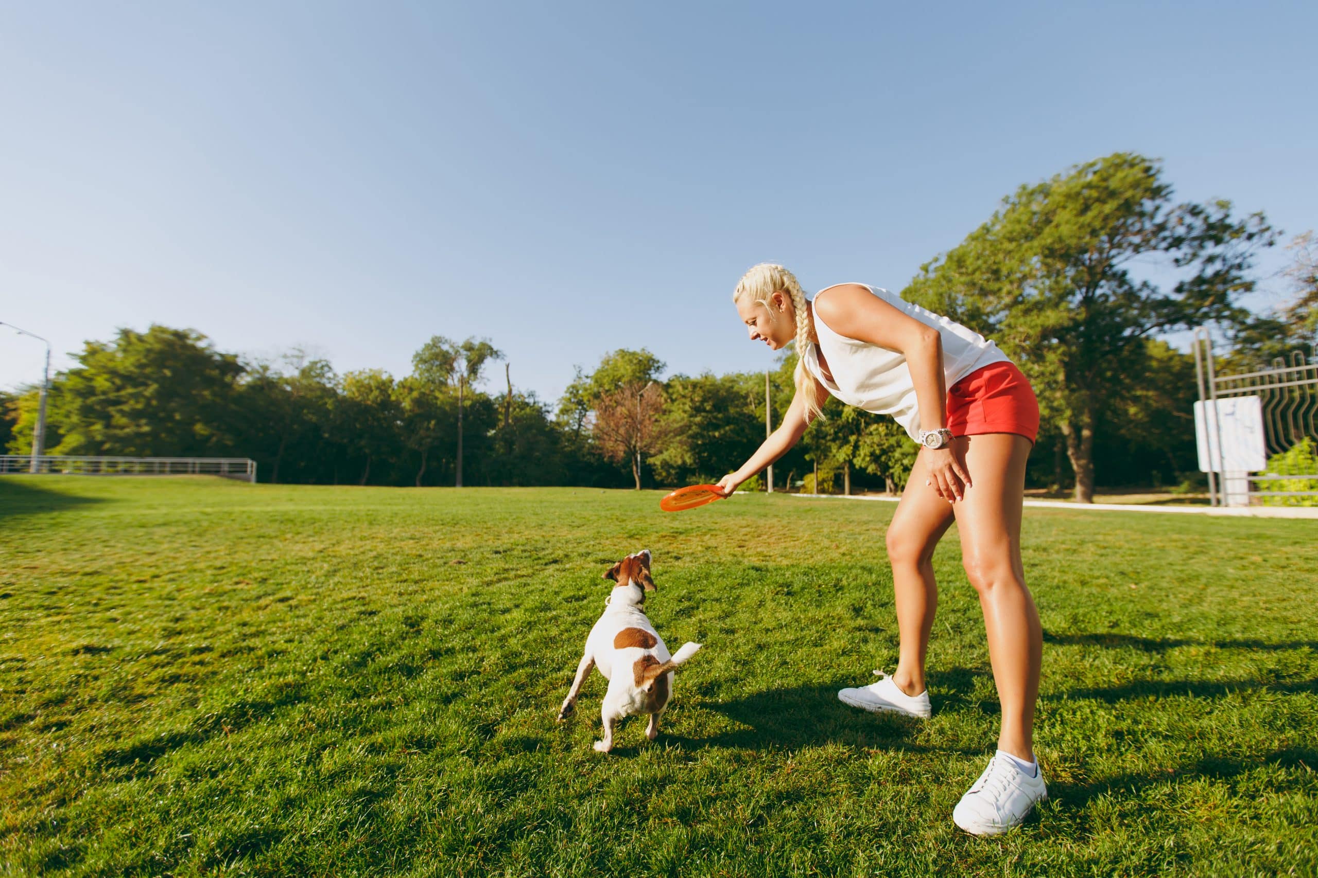 Pulling Training Right For Your Pit Bull