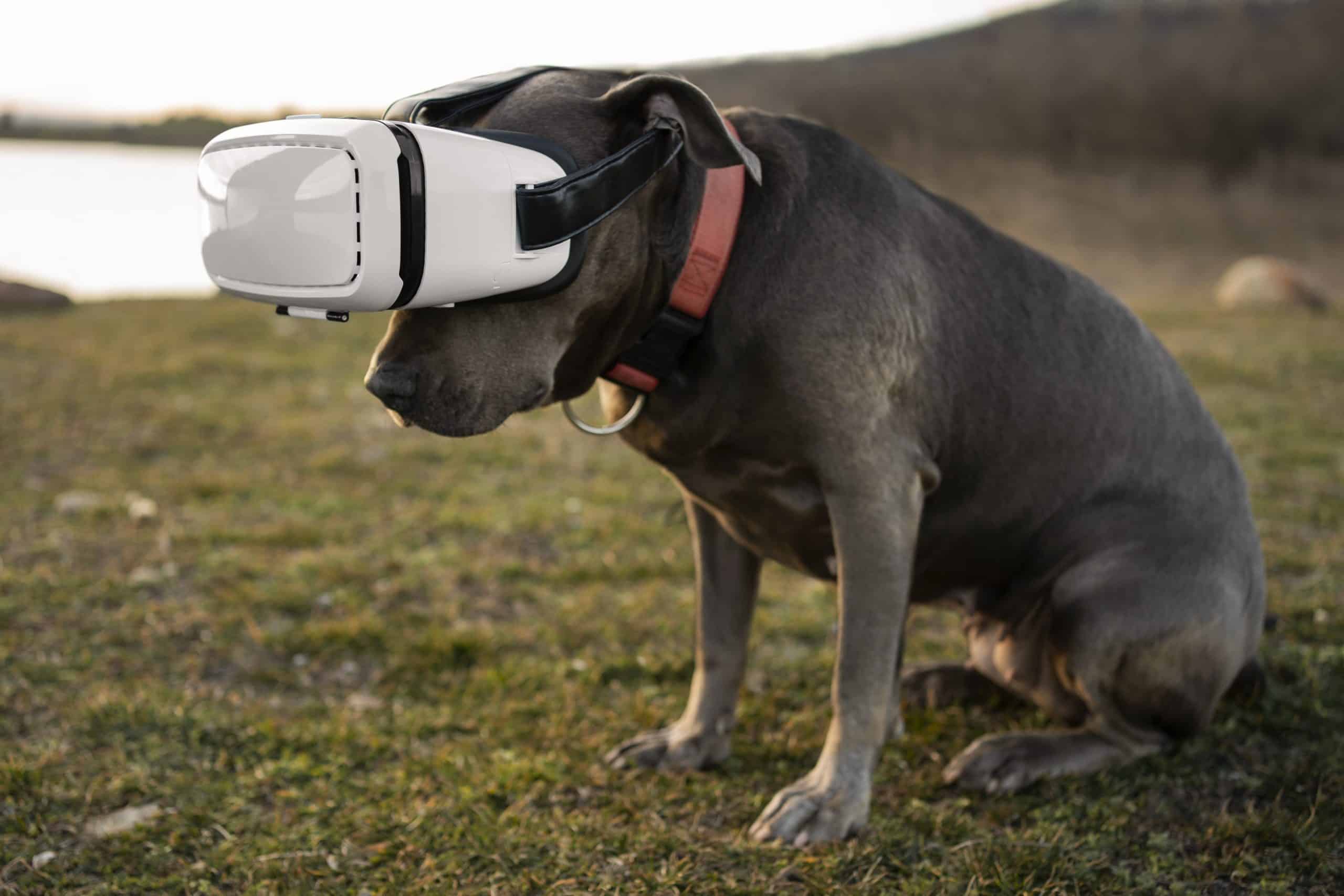 Dog In America's Augmented Reality