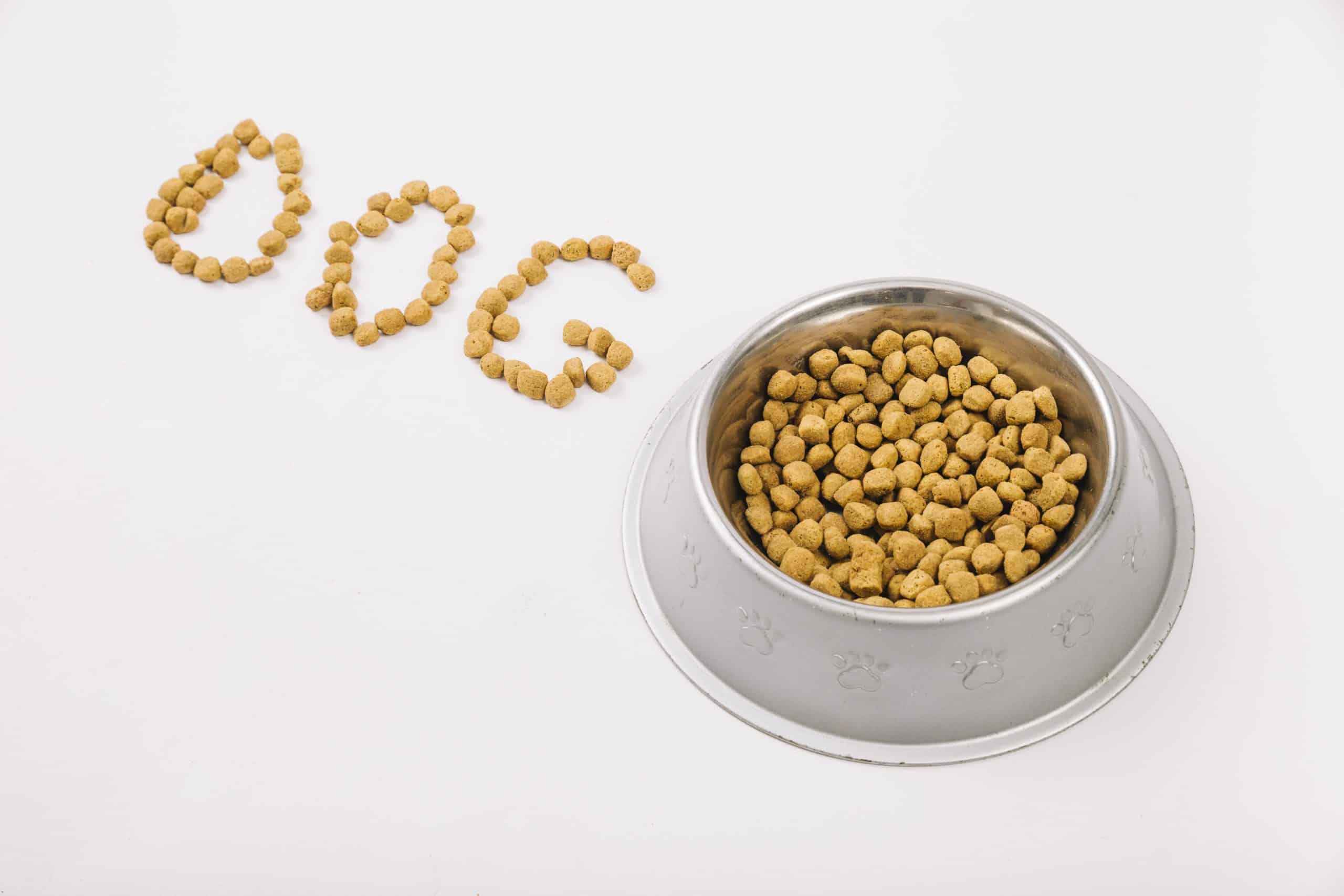 Need To Know About Dog Foods With Probiotics